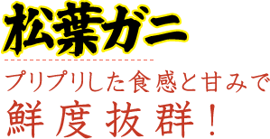 松葉ガニ プリプリした食感と甘みで鮮度抜群